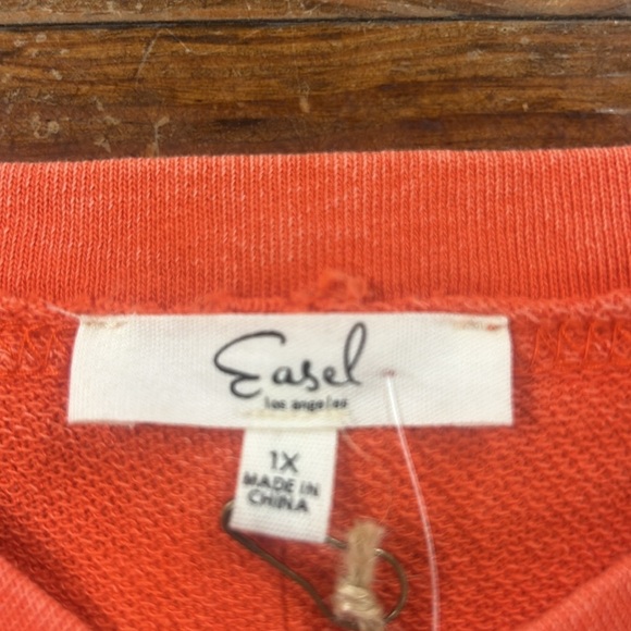 NWT Tomato Mineral Wash V-Neck - Easel - Picture 3 of 5